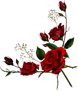 Red Roses Dark Background PNG Image