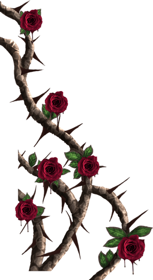 Rose Vine Png, Transparent Png PNG image with transparent background