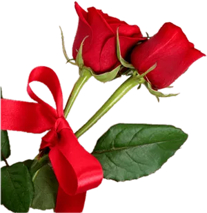 Red Roseswith Ribbon PNG Image