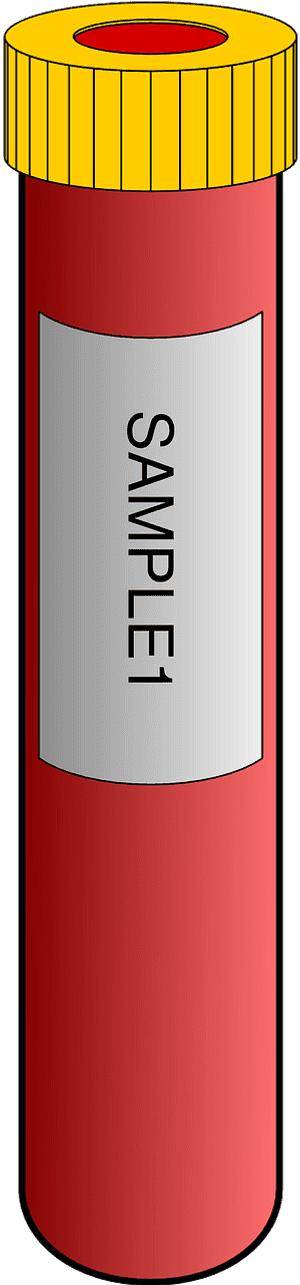 Blood Tube Cartoon, HD Png Download PNG image with transparent background