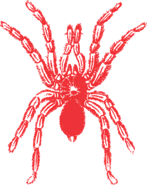 Red Silhouette Spideron Black Background PNG Image