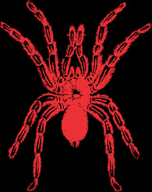 Red Silhouette Spideron Black Background PNG image with transparent background