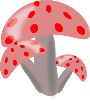 Red Spotted Mushrooms Illustration PNG Image