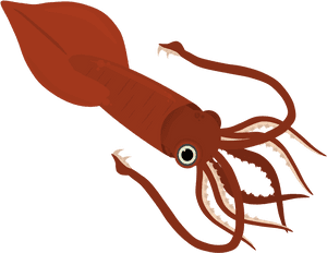 Transparent Giant Squid Clipart - Transparent Giant Squid Squid Clipart, HD Png Download PNG
