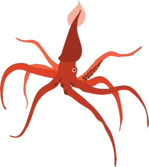 Squid Png - Clip Art, Transparent Png PNG