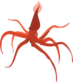 Red Squid Illustration PNG Image