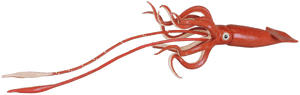 Squid Transparent Png - Giant Squid No Background, Png Download PNG