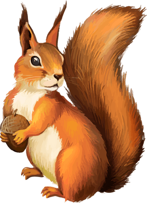 Red Squirrel Holding Nut Illustration PNG image with transparent background