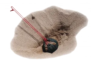 Red Tipped Spearin Sand PNG Image