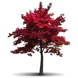 Red Tree With Colorful Background Png 22 PNG Image