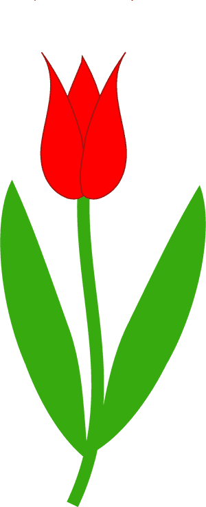 Red Tulip 555px - Tulip Flower Clipart, HD Png Download PNG with transparent background