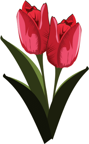 Tulip Free To Use Clip Art - Art Flower, HD Png Download PNG image with transparent background