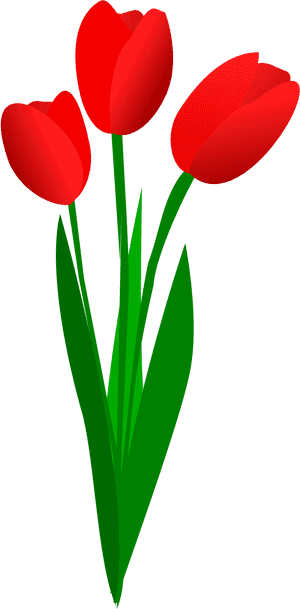 Red Tulips Clipart, HD Png Download PNG with transparent background