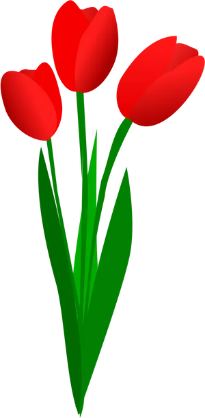 Red Tulips Vector Illustration PNG Image