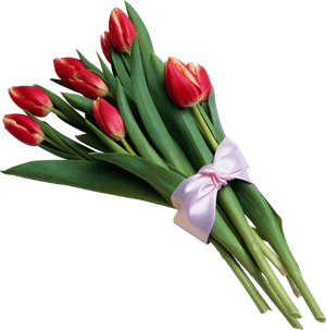 Flower Bouquet Transparent Background, HD Png Download PNG image with transparent background