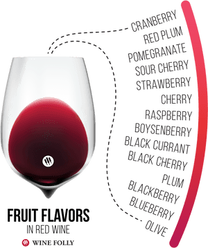 Common Fruit Flavors Found In Red Wine - Fruit Flavors Red Wine Wine Folly, HD Png Download PNG with transparent background