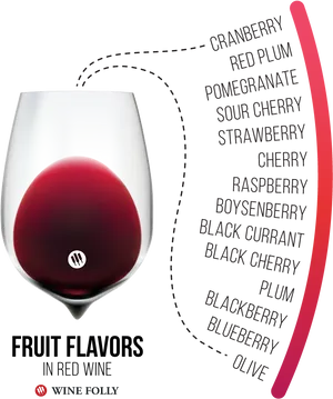 Red Wine Fruit Flavors Infographic PNG Image