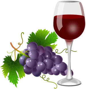 Red Wine Glassand Grapes Illustration PNG Image