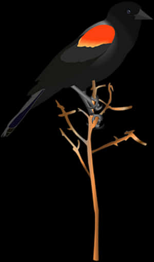 Red Winged Blackbird Illustration PNG image with transparent background