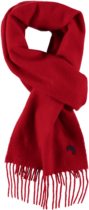 Red Wool Scarfwith Fringe PNG
