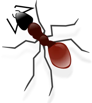 Redand Black Ant Illustration PNG Image