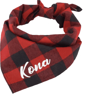 Redand Black Checkered Scarf PNG