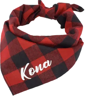 Redand Black Checkered Scarf PNG Image