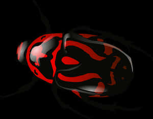 Redand Black Ladybug Illustration PNG image with transparent background