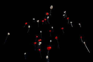 Red_and_ White_ Balloons_on_ Black_ Background PNG image with transparent background