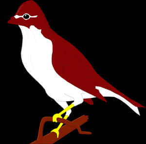 Redand White Bird Illustration PNG image with transparent background