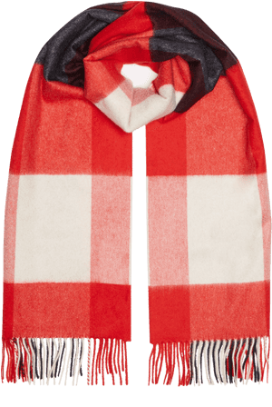 Redand White Checked Scarf PNG