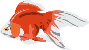 Redand White Goldfish Illustration PNG Image