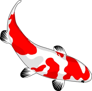 Redand White Koi Fish Illustration PNG Image