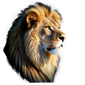 Regal Lion Profile Png 06122024 PNG Image