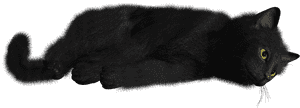 Cat Png Image - Black Cat Transparent Background, Png Download PNG