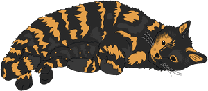 Cat Tortoiseshell Cat Cute Cat Free Photo - My Cat Is Family, HD Png Download PNG image with transparent background