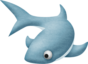 Requiem Shark Drawing - Shark PNG image with transparent background