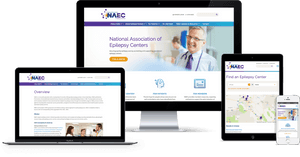 Windmillstrategy-naec - Web Design, HD Png Download PNG