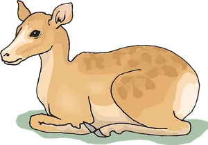 Resting Fawn Illustration.jpg PNG Image