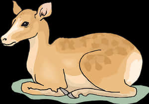 Resting Fawn Illustration.jpg PNG image with transparent background