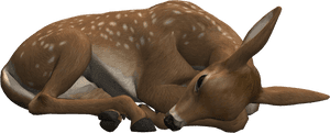 Deer Easter Animal Antler Woman With Horns - Deer Laying Down Png, Transparent Png PNG with transparent background