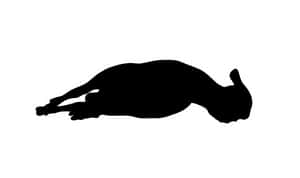 Resting Sheep Silhouette PNG image with transparent background