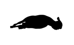 Resting Sheep Silhouette.jpg PNG image with transparent background