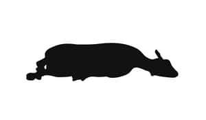 Resting Sheep Silhouette PNG image with transparent background