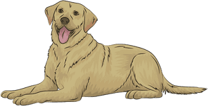 Retriever Free Download Creazilla - Labrador Retriever Clipart, HD Png Download PNG image with transparent background