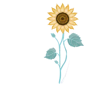 Retro Sunflower Picture Png Ift PNG Image