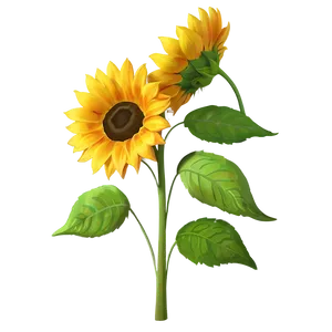 Retro Sunflower Picture Png Xko61 PNG Image