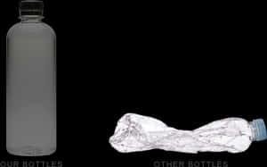 Reusablevs Single Use Bottles PNG image with transparent background