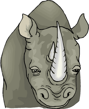 Rhino Face Clipart - Rhinoceros Face Clipart, HD Png Download PNG image with transparent background