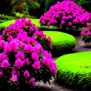 Rhododendron Garden Png Uey95 PNG Image